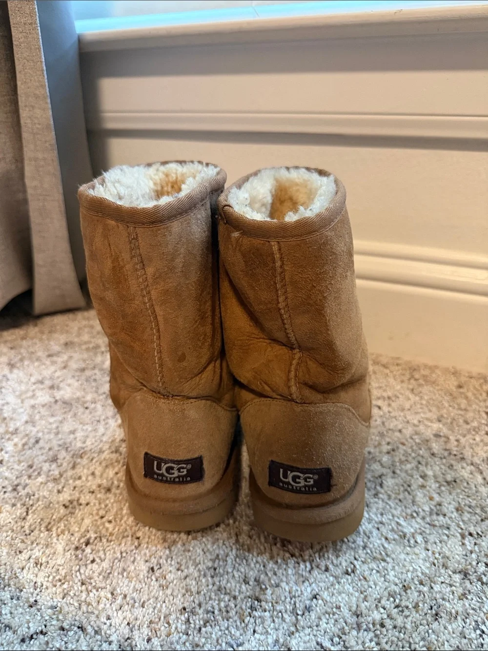 UGG Chestnut Suede Classic Short Boots